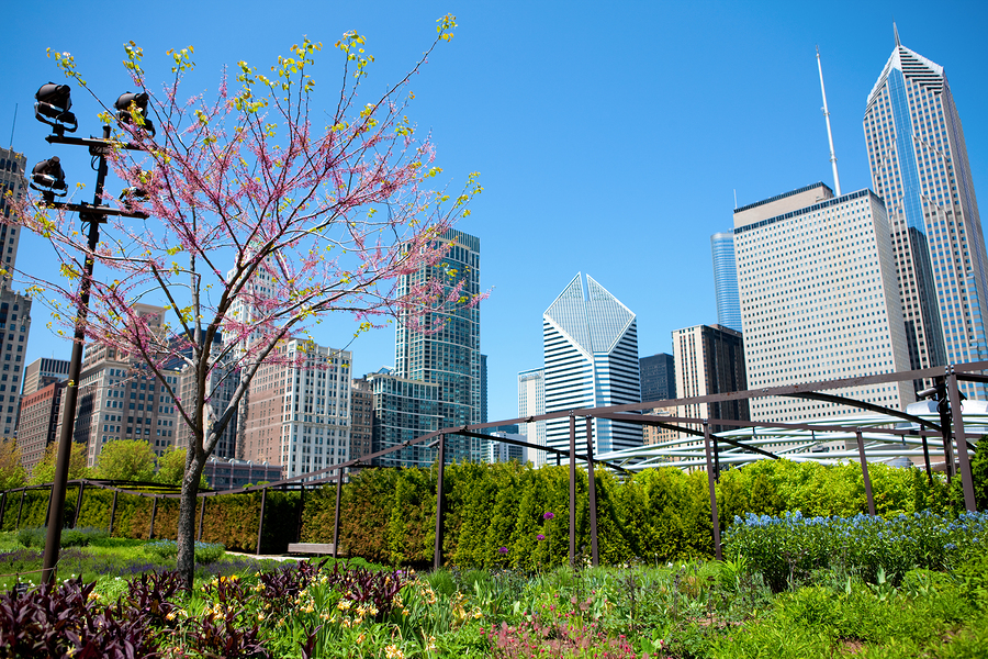 Spring 2015 Events in Chicago